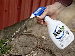 weed killer safe for grass