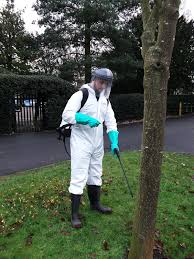 weed removal