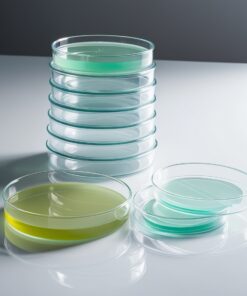 dish petri