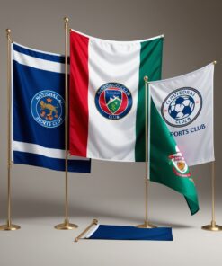 euro flag