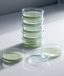 plastic petri dish