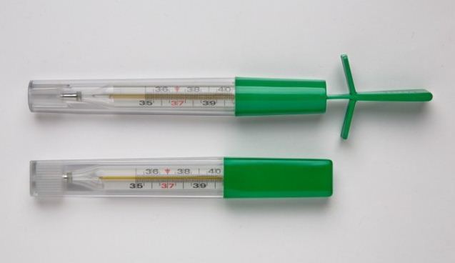 Thermometer T-flap