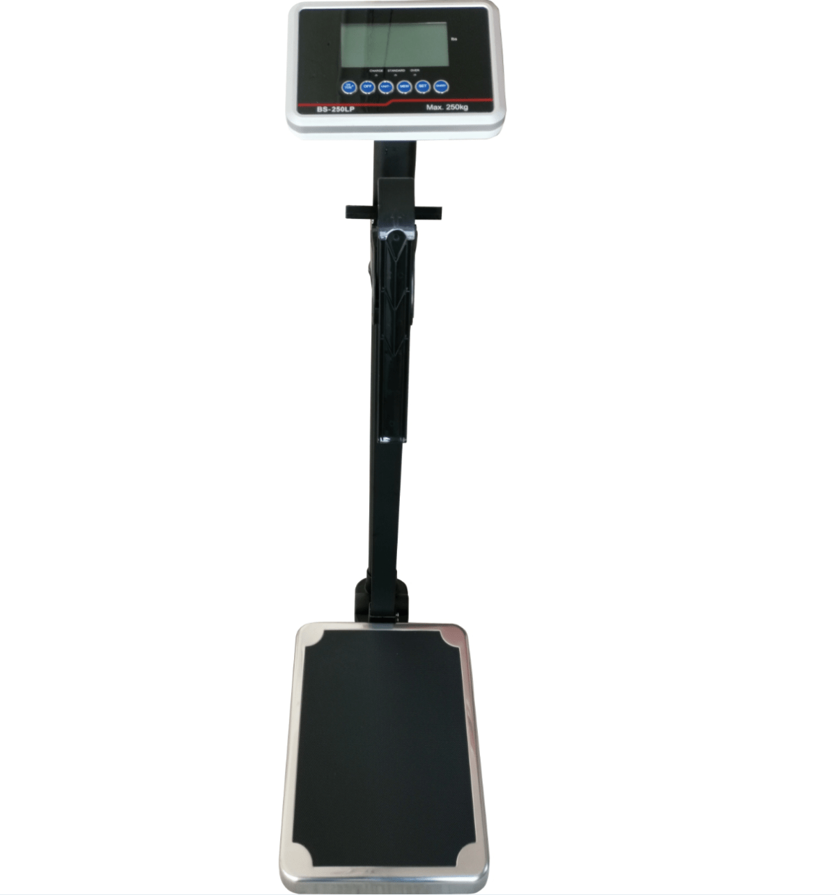 Electronic BMI Scale
