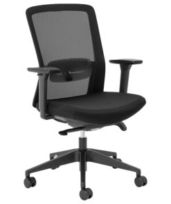 Aila Ergo Mid Back Chair