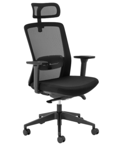 Aila Ergo High Back Chair