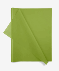 Aloe Green Wrapping Tissue (24 Sheet Pack)