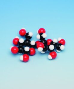 Molecular model Glucose 2 Molecules