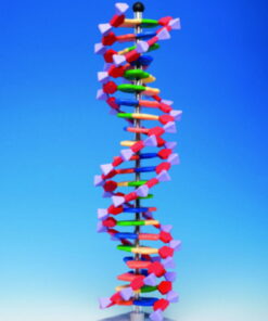 Protein Kit RNA-24 PS