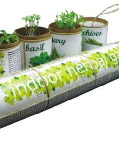 Indoor Herbal Garden (Herb or Flower) – Size: 70(d)*110mm – Min