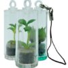 Baby Pet Plants – Includes 1 Colour Print on capsule & 1 Side (F