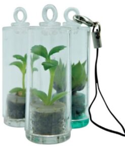 Baby Pet Plants – Includes 1 Colour Print on capsule & 1 Side (F