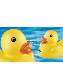 Ducky Duck Bath Toy