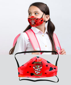 Youth 3 Layer Washable Beak Mask with Full Colour Print (Min 100 units)