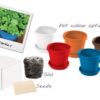 Parsley in a Box