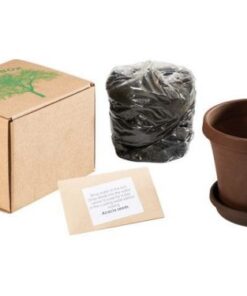 Tree In A Box