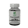 Shilajit Gummies (60)