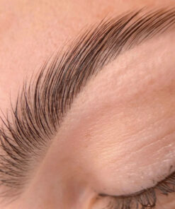 Refectocil Brow Lamination - Online Course