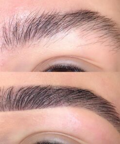 HD Brows Original Online Training Course