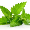 Patchouli essential oil 10ml